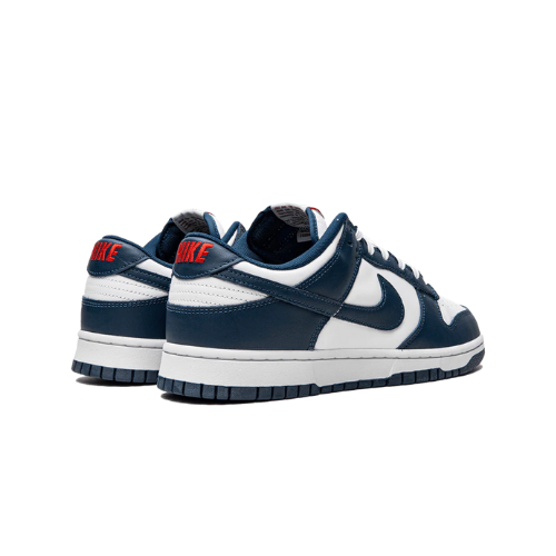 Dunk Low Valerian Blue