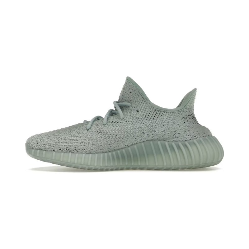 Yeezy Boost 350 V2 Salt